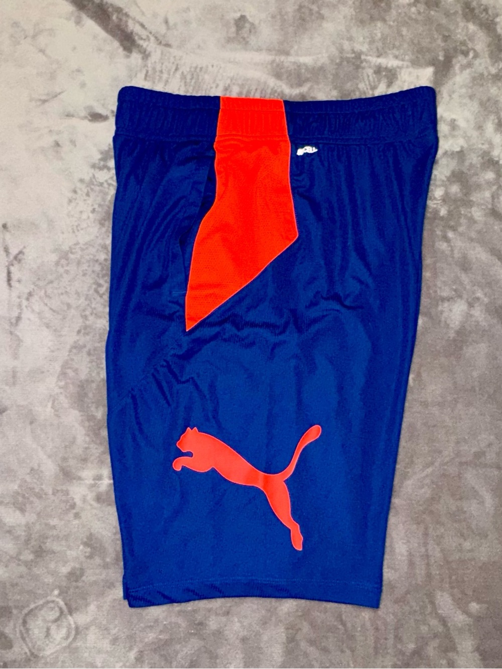 PUMA BIG CAT Knitted Shorts